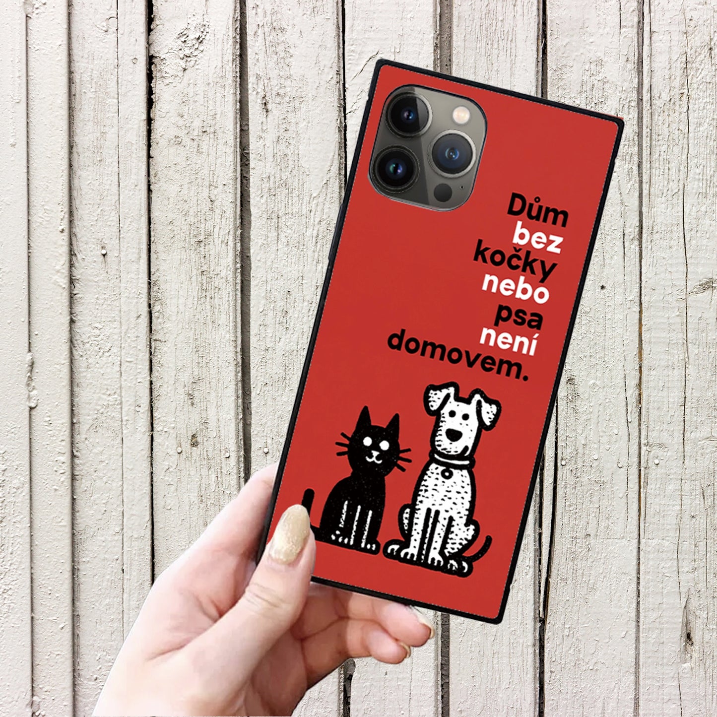 NOR013：CAT&DOG-01